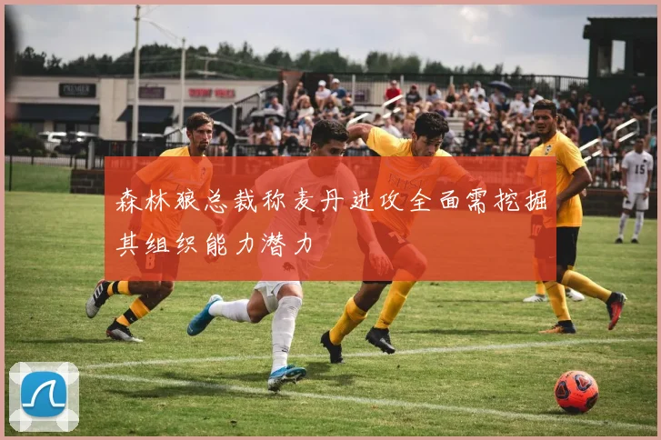 森林狼总裁称麦丹进攻全面需挖掘其组织能力潜力