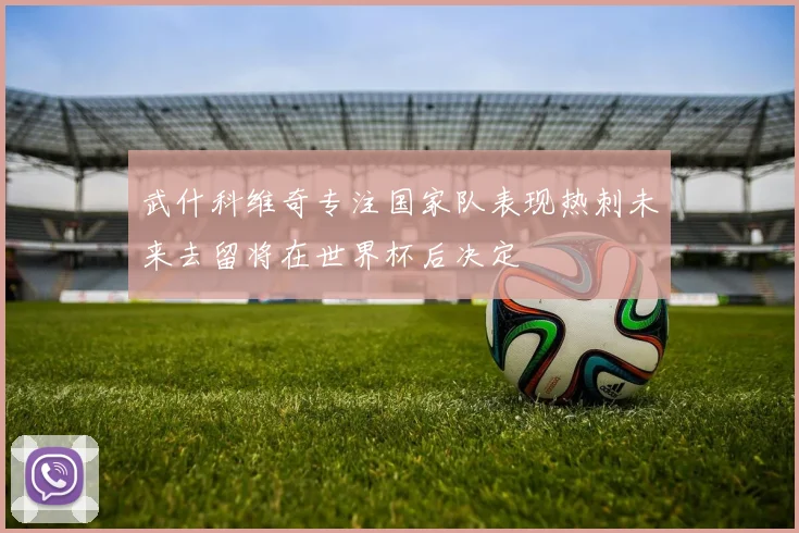武什科维奇专注国家队表现热刺未来去留将在世界杯后决定