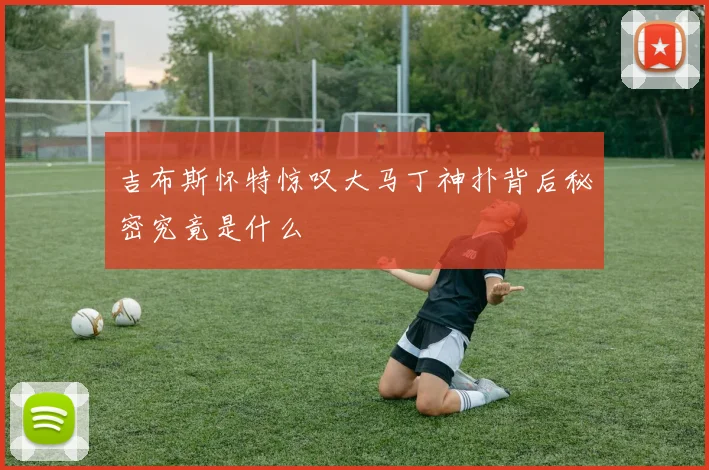 吉布斯怀特惊叹大马丁神扑背后秘密究竟是什么